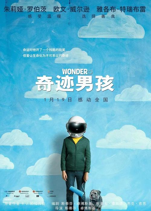 里昂第一大学学士学位证